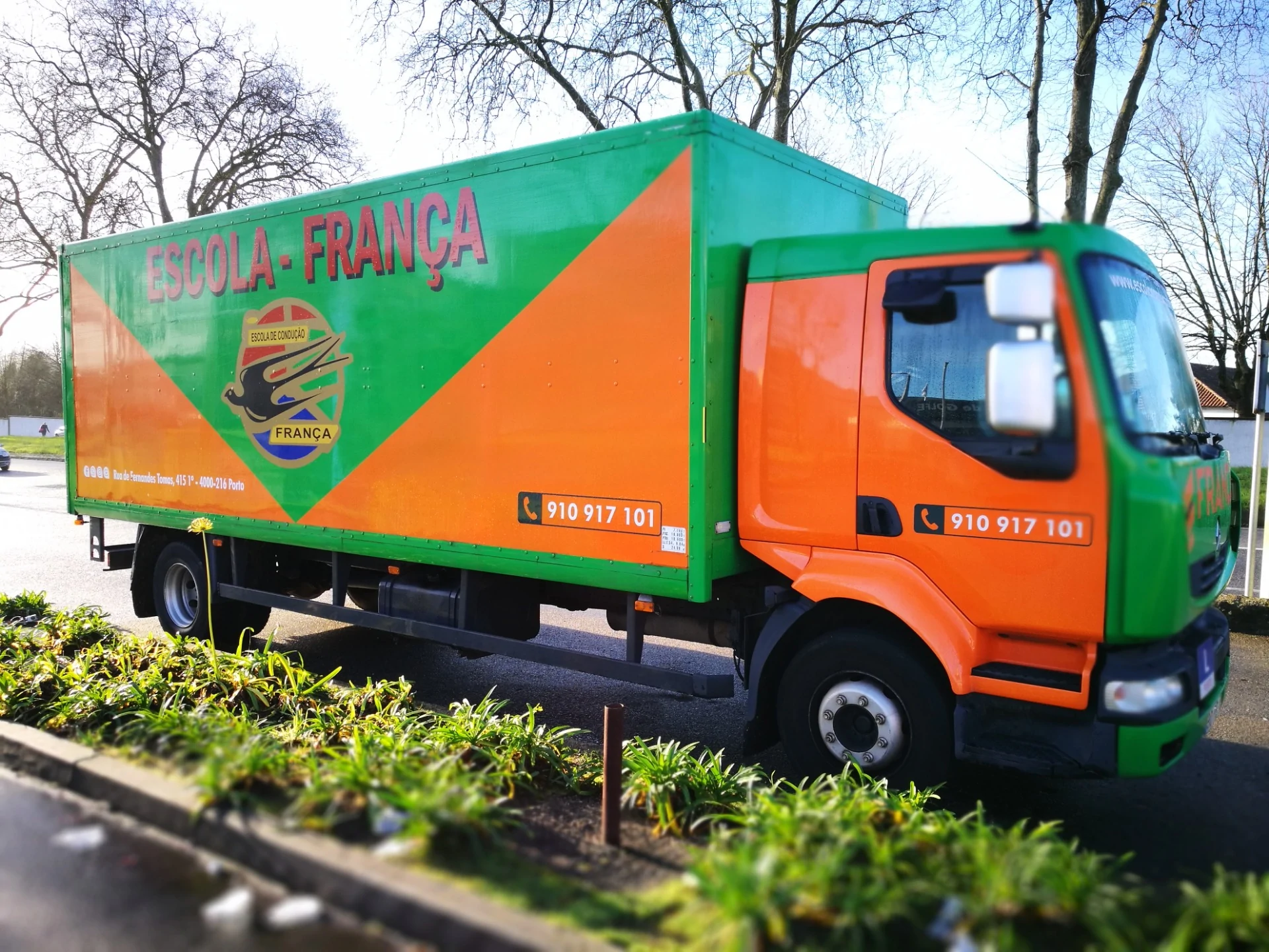 Categoria C - Pesados